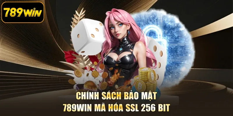 Chính sách bảo mật 789WIN Mã hóa SSL 256 bit
